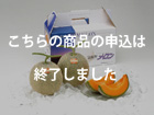 A2037@xǖ상@Mtg