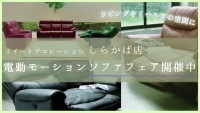 電動モーションソファフェア開催のお知らせ