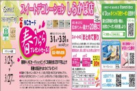 今週のチラシをＷＥＢに掲載しました。(しらかば店 新生活特別通信Vol.6)