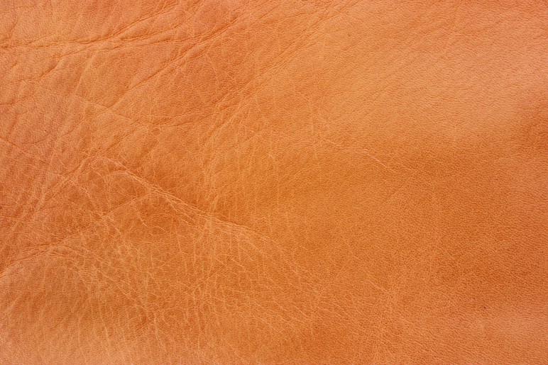 c02b324f7aa3d9265e6cceba353048a9_m.jpg