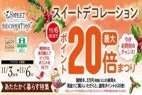 今週のチラシをＷＥＢに掲載しました。(スイートデコレーション「ポイント最大２０倍まつり～あたたかく暮らす特集～」)