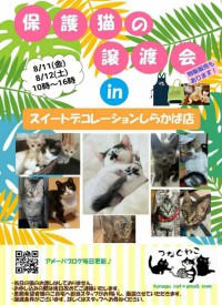 つなぐねこ様主催、保護ネコ譲渡会を開催します！