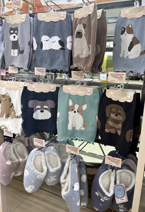 写真⑥-1 (SD函館上磯店 2025.11.28分).jpg