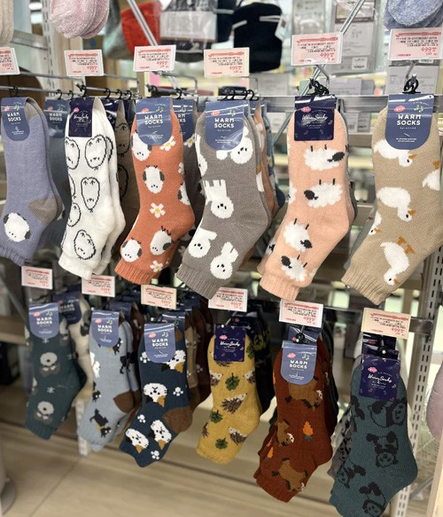 写真⑦-1 (SD函館上磯店 2025.11.28分).jpg