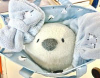 雪の妖精と過ごす春