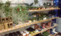 ガーデニング商品多数入荷!!